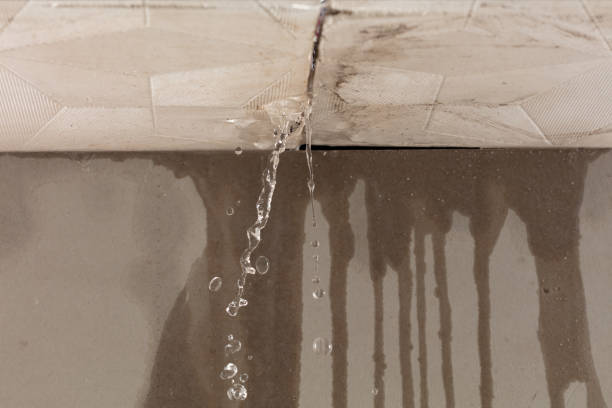 Professional Water Damage Repair technician working in Cherry Hill, VA